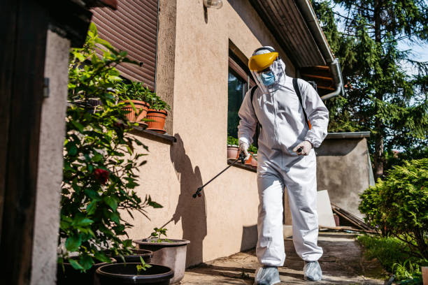Best Insect Control  in Ellaville, GA