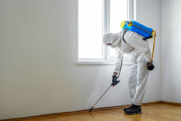 Best Bed Bug Extermination  in Ellaville, GA