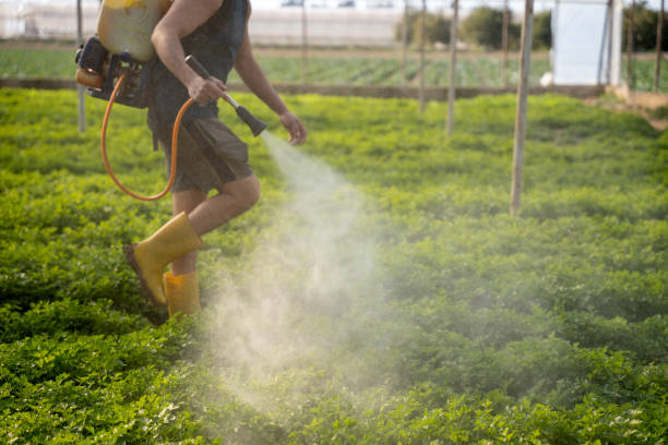 Best Pest Removal Services  in Ellaville, GA