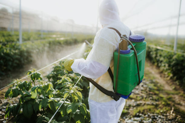 Best Pest Control Near Me  in Ellaville, GA